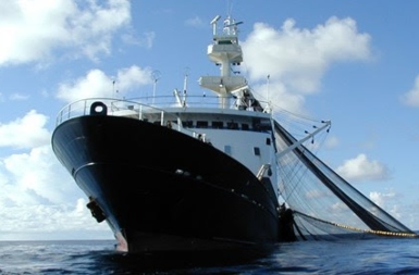 IMO Webinars Put Fishing Vessel Safety High On Agenda - The ...